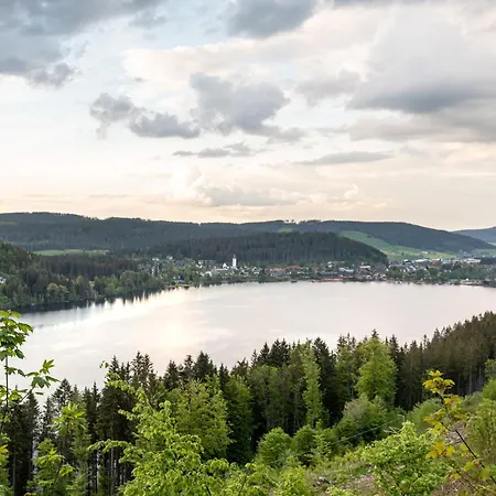 Sonnenglueck Mit Grosszuegigem Suedbalkon *