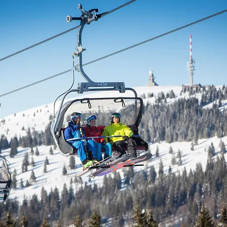 Sonnenglueck Mit Grosszuegigem Suedbalkon Lägenhet Lenzkirch