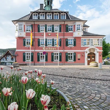 Sonnenglück Mit Großzügigem Südbalkon * Lenzkirch
