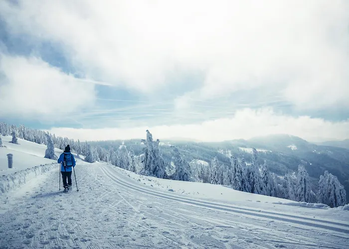 Sonnenglueck Mit Grosszuegigem Suedbalkon * 伦茨基希